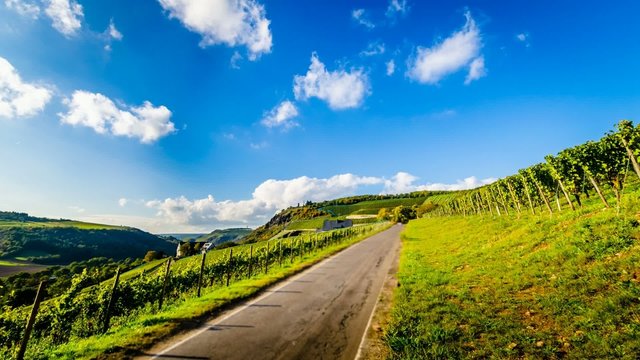TL - Weinbergstrasse