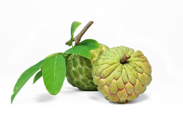 Fototapeta premium Custard apple or Annona squamosa ,fragrant and sweet fruit.
