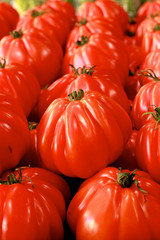 Tomaten - Coeur de boeuf