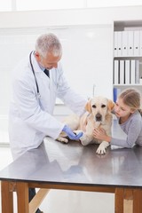 Obraz na płótnie Canvas Vet examining a dog with its owner