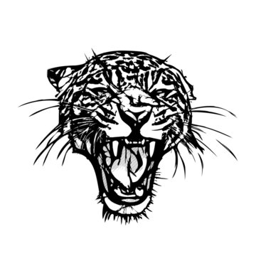 Panther Head Graphic