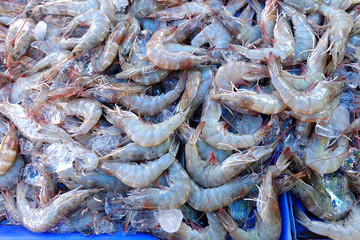 raw shrimps background