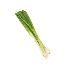 spring onions isolated on white