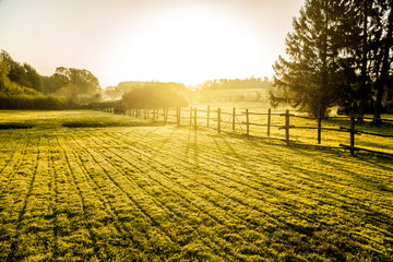 Fototapeta premium Sunrise over misty grassland 