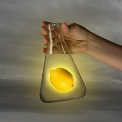 Experiments with fruits