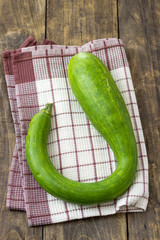 big zucchini squash