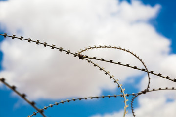 barbed metal wire against