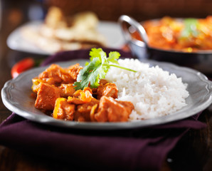 indian chicken vindaloo curry with basmati rice on plate - obrazy, fototapety, plakaty