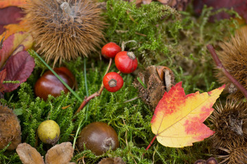 Bunter Herbsthintergrund