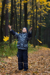 boy with autumn leaves