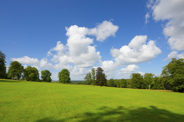 Fototapeta premium Normandy