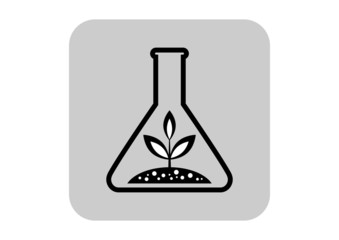 Plant in laboratory glass