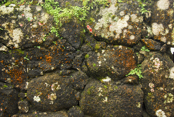 stone wall