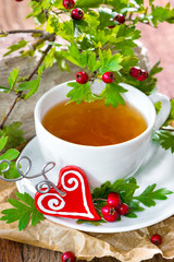 Crataegus-Tee