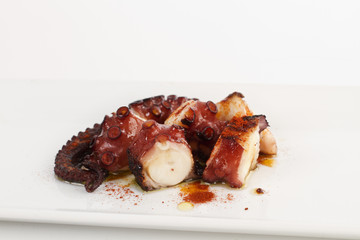 Pulpo sobre plato blanco vista de frente