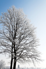 Landschaft mit Raureif, Frost und Schnee