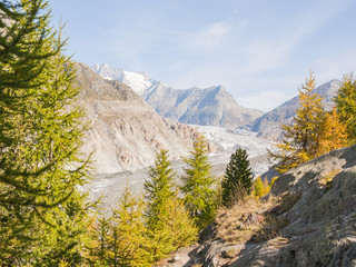 Fototapeta na wymiar Riederalp, Riederfurka, Dorf, Aletschwald, Gletscher, Schweiz