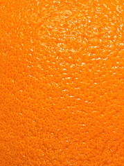 Texture of orange peel