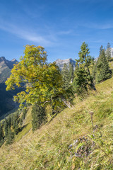 Obraz premium Herbst in den Bergen