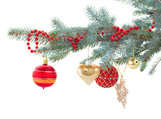 red and gold christmas decorations   on fir tree