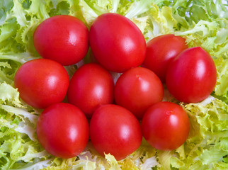 tomato salad