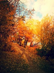 Осенний яркий пейзаж