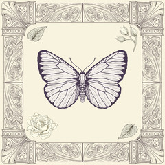 butterfly and rose drawing