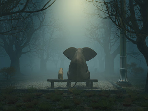 elephant and dog sitting in a gloomy park