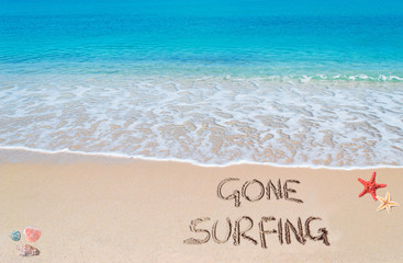 gone surfing
