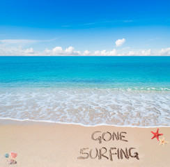 gone surfing