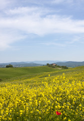 Toskana im Frühling