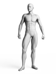 3d rendered illustration of a white man