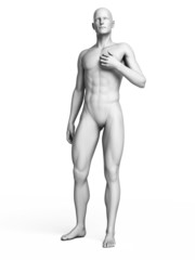 3d rendered illustration of a white man