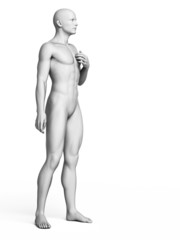 3d rendered illustration of a white man