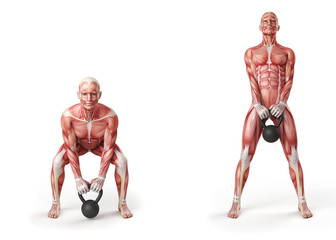 kettlebell exercise - dead lift