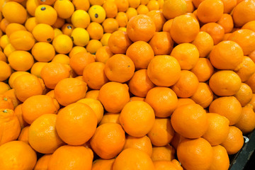 Citrus fruit on the supermarket stall