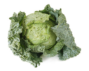 Fototapeta premium cabbage