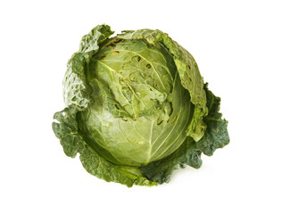 Fototapeta premium cabbage