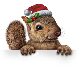 Holiday Squirrel © freshidea