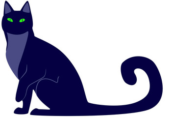 Black cat