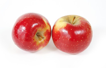 apples on white background