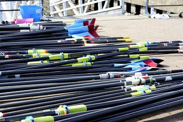 Collection of Rowing Blades