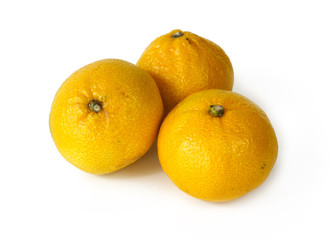 two tangerines on white background