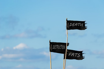 conceptual flags