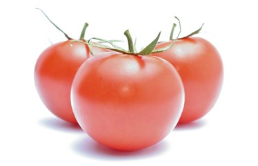 Tomatoes isolated on white background
