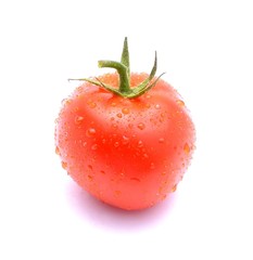 Tomato with waterdrops isolated on white background