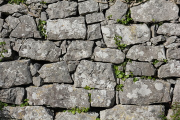 mur