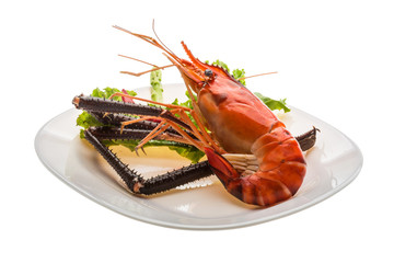 Giant Freshwater Prawn