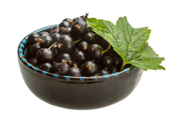 Black currant