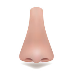 Realistic vector nose on white background